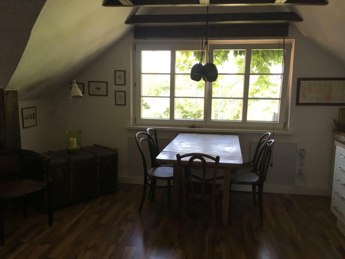 Alte Donau Appartement Wenen Buitenkant foto